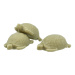 Savon du Midi Seife "Schildkröte mit Lemongrass-Öl" 50 g