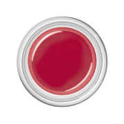 BAEHR BEAUTY CONCEPT NAILS Colour-Gel Paradise Red 5 ml