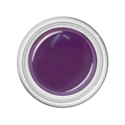 BAEHR BEAUTY CONCEPT NAILS Colour-Gel Aubergine 5 ml