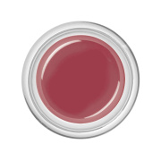 BAEHR BEAUTY CONCEPT NAILS Colour-Gel ros&eacute; nude 5 ml